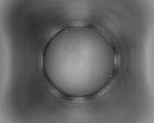 X0000113110301200909041251