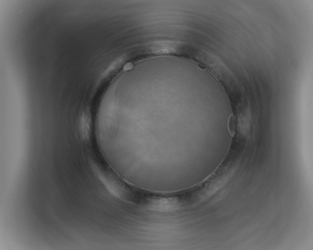 X0000113110304200909041251