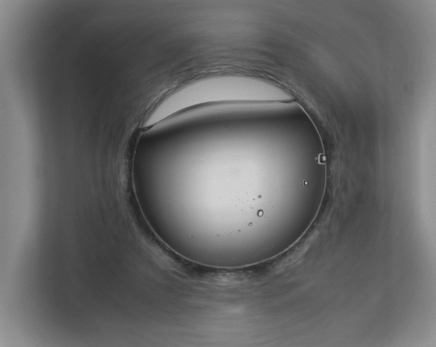 X0000113110305200909041251
