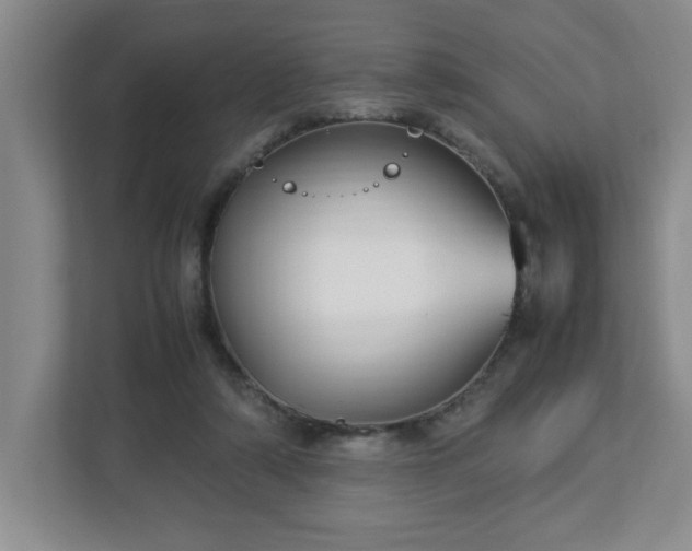 X0000113110306200909041251