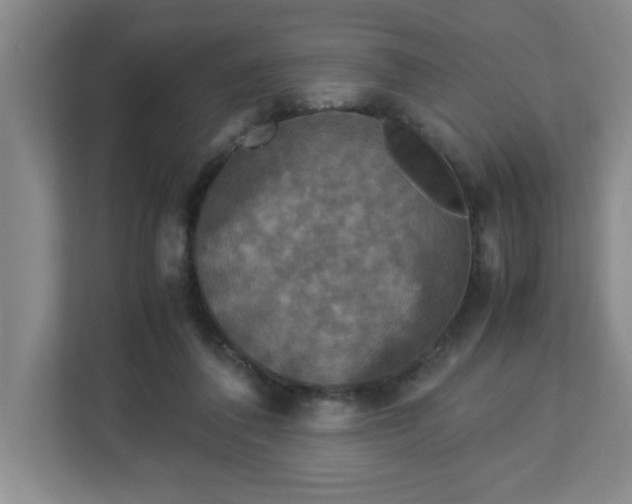 X0000113110308200909041251