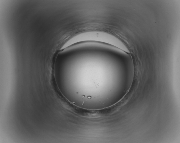X0000113110309200909041251