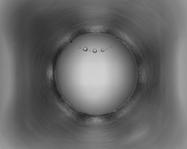 X0000113110310200909041251