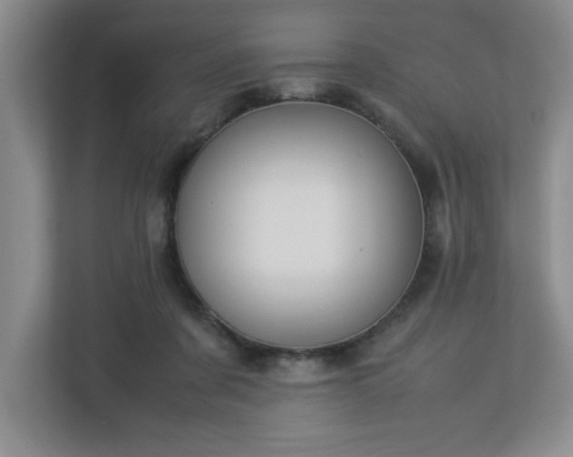 X0000113110311200909041251