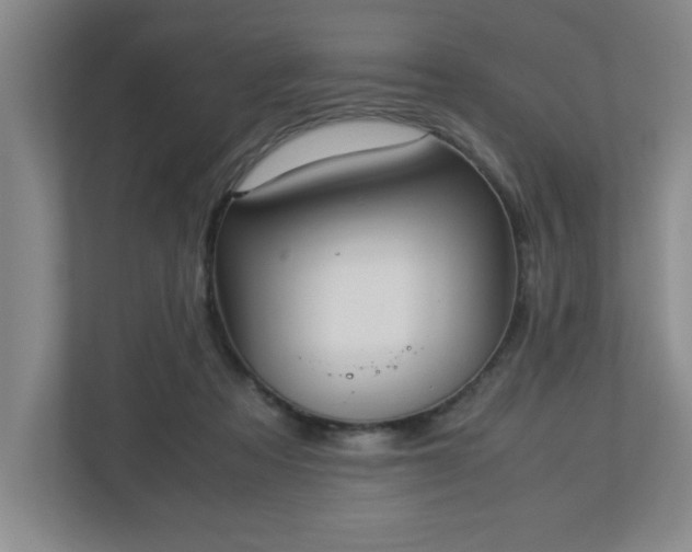 X0000113110313200909041251