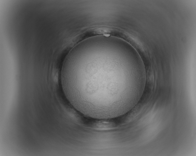 X0000113110315200909041251