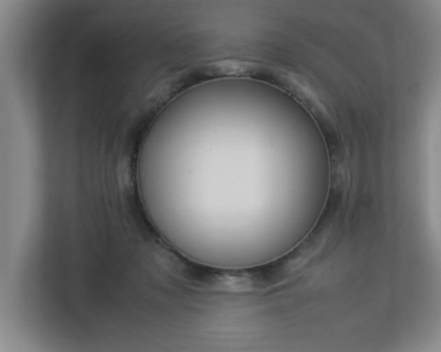 X0000113110317200909041251