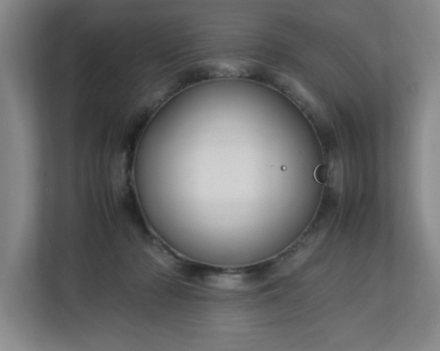 X0000113110318200909041251