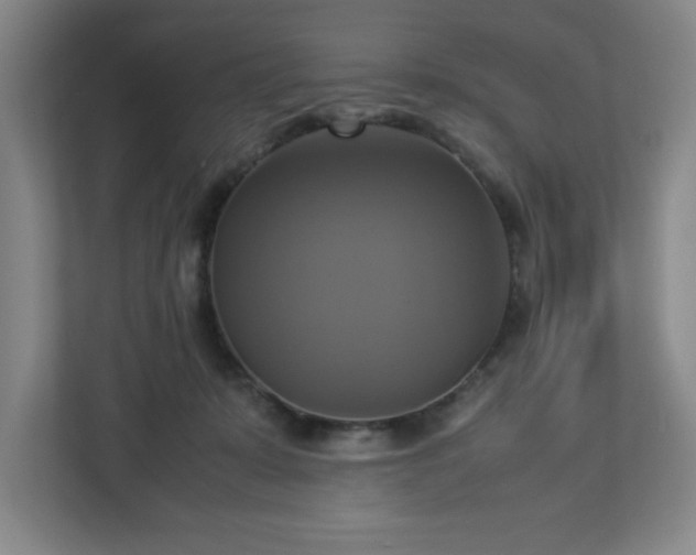 X0000113110319200909041251