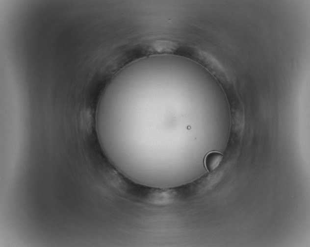 X0000113110321200909041251