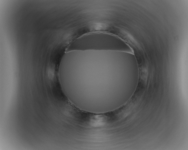 X0000113110324200909041251