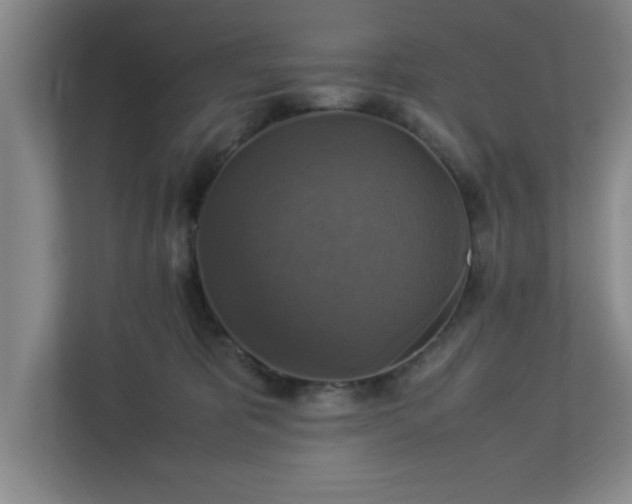 X0000113110325200909041251