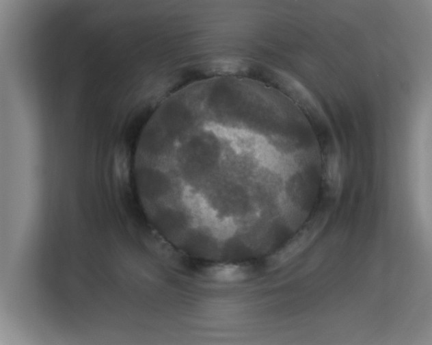X0000113110326200909041251