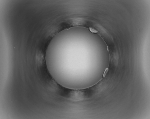 X0000113110327200909041251