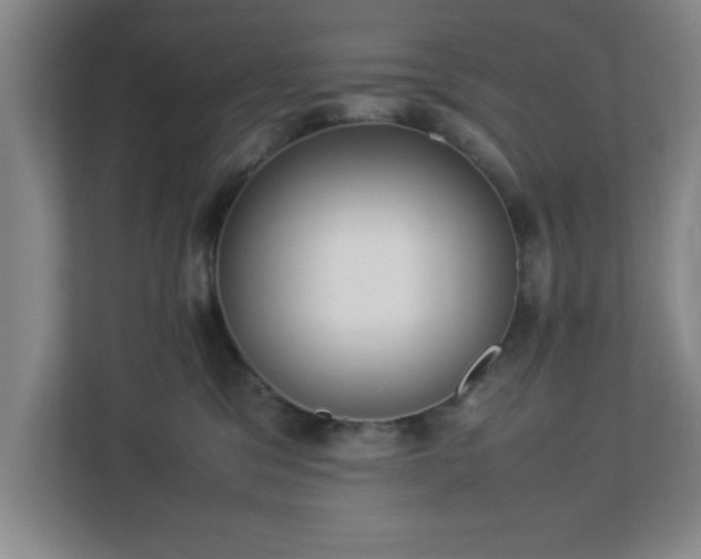 X0000113110329200909041251