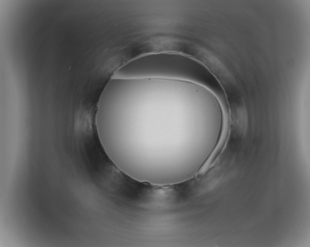 X0000113110333200909041251