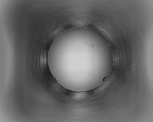 X0000113110334200909041251
