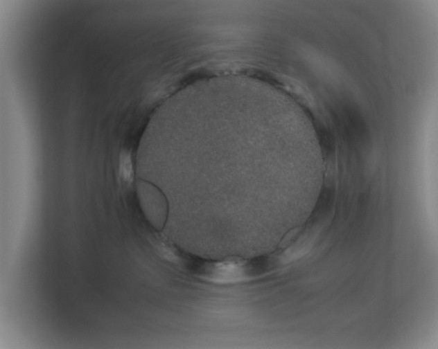 X0000113110335200909041251
