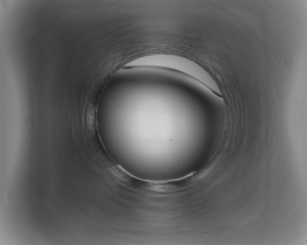 X0000113110336200909041251