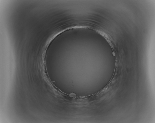 X0000113110337200909041250