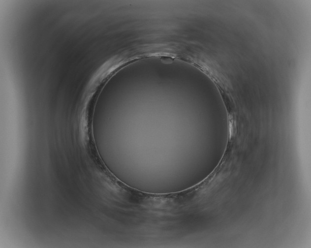 X0000113110339200909041250