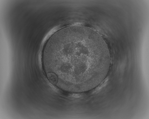 X0000113110341200909041250