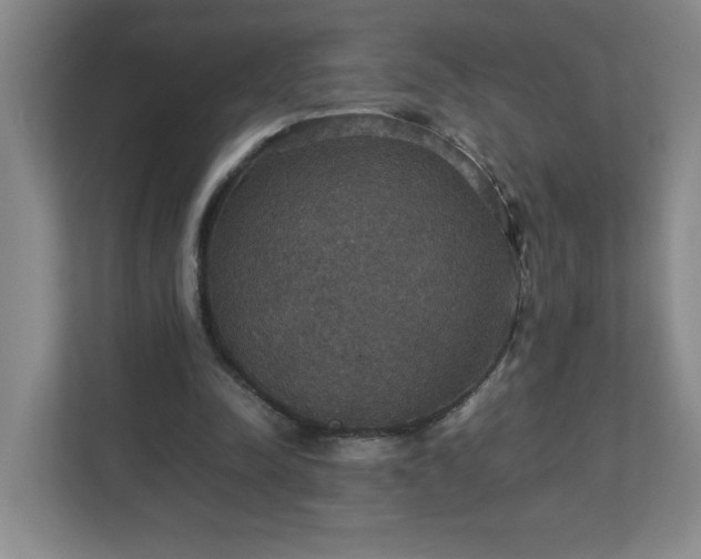 X0000113110342200909041250