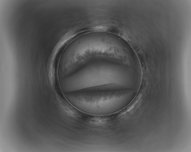 X0000113110343200909041250