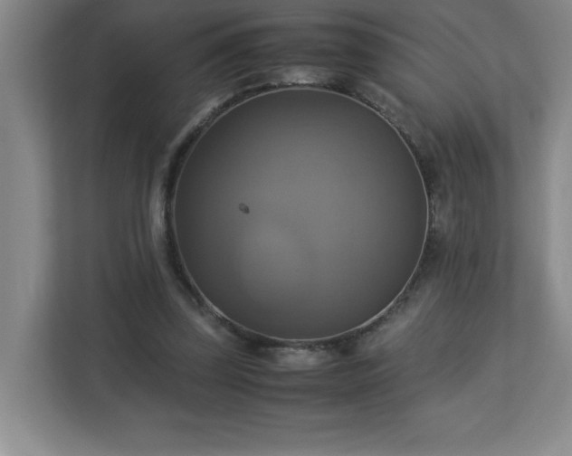 X0000113110347200909041250