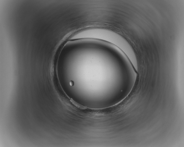 X0000113110348200909041250
