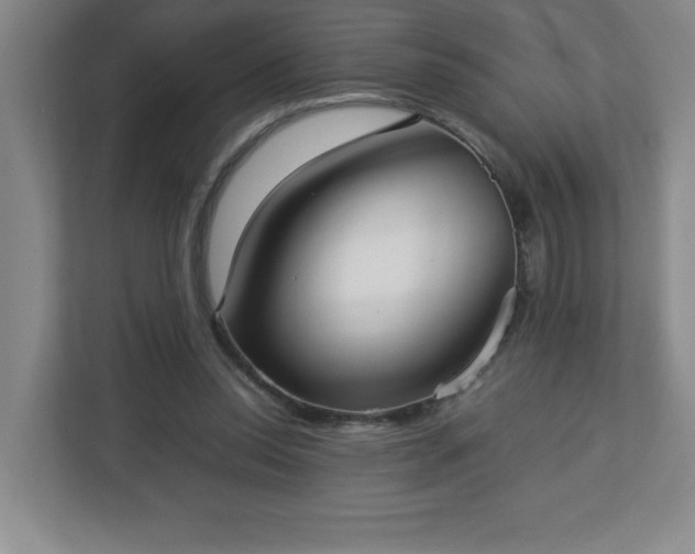 X0000113110350200909041250