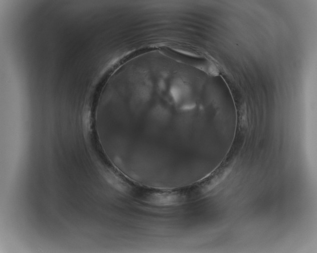 X0000113110351200909041250