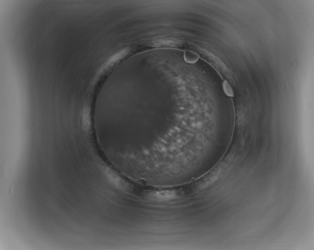 X0000113110353200909041250