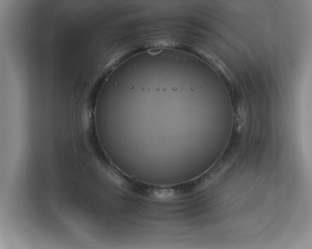 X0000113110355200909041250