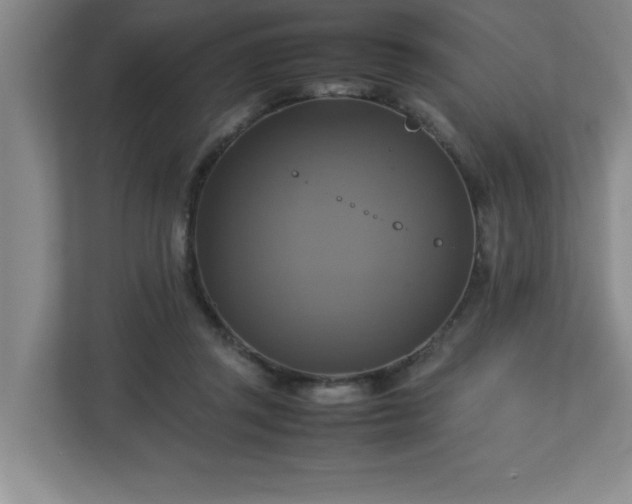 X0000113110357200909041250