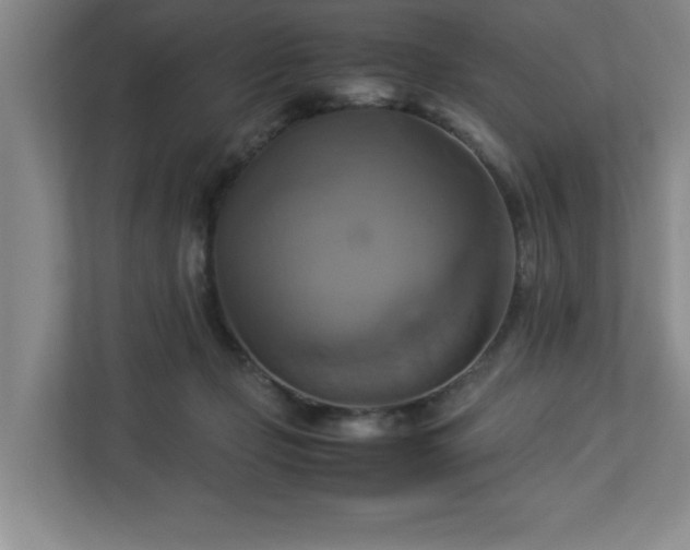 X0000113110365200909041251