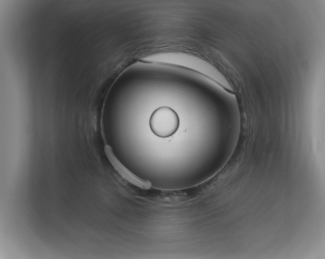 X0000113110368200909041251
