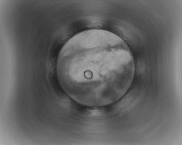 X0000113110370200909041251