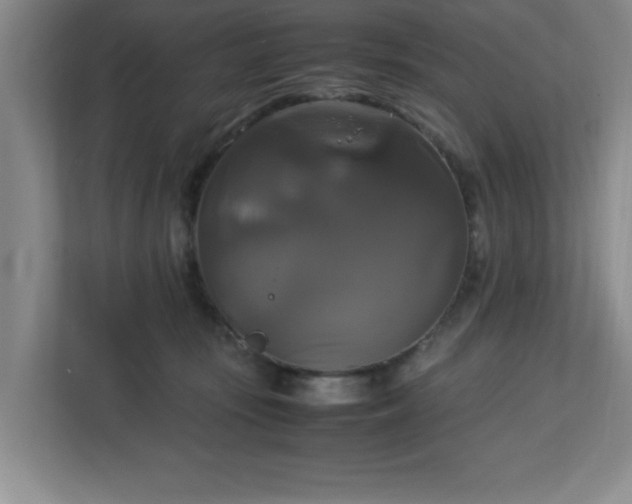 X0000113110371200909041251