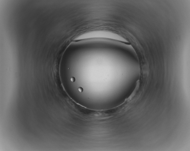 X0000113110372200909041251