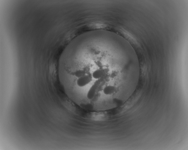 X0000113110373200909041251