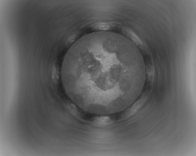 X0000113110374200909041251