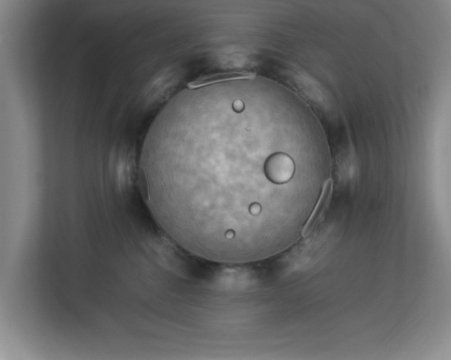 X0000113110376200909041251