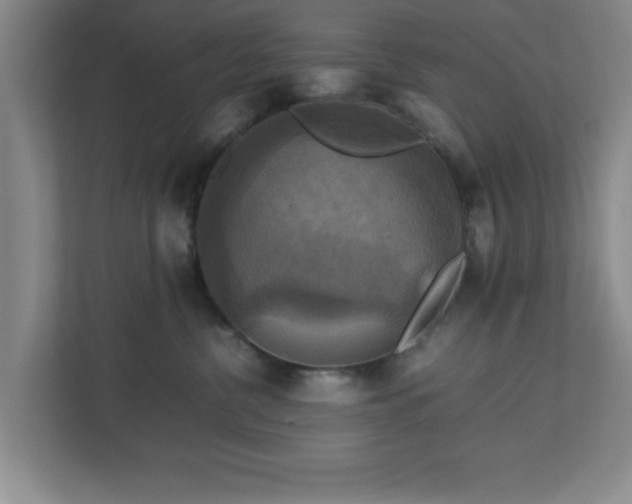 X0000113110380200909041251
