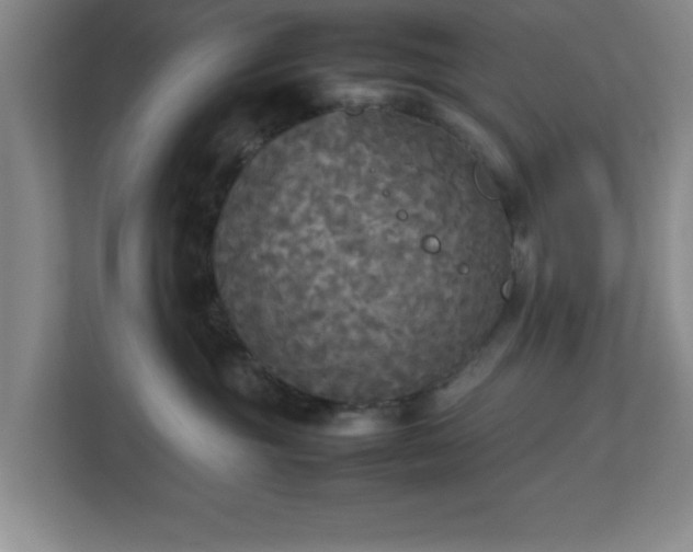 X0000113110381200909041251
