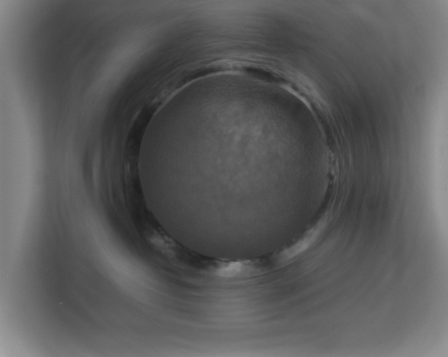 X0000113110382200909041251