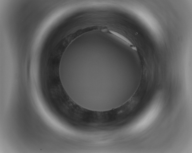 X0000113110383200909041251