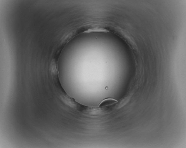 X0000113110384200909041251