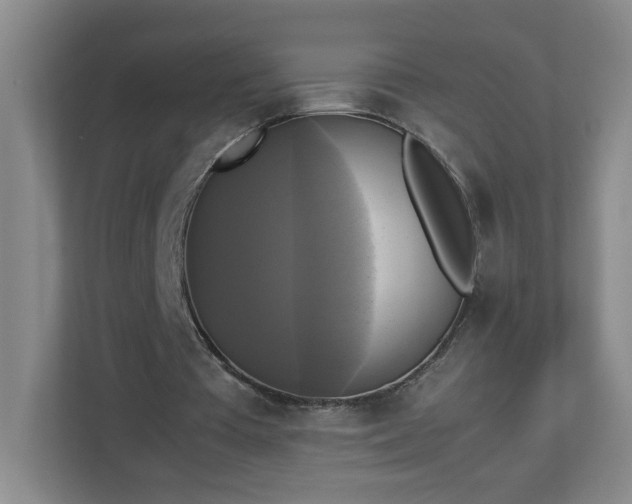 X0000113110385200909041250