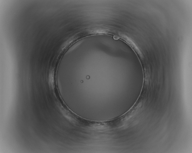 X0000113110386200909041250